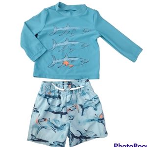 Blue Carter's Toddler Boy Swimsuit set Size 12M